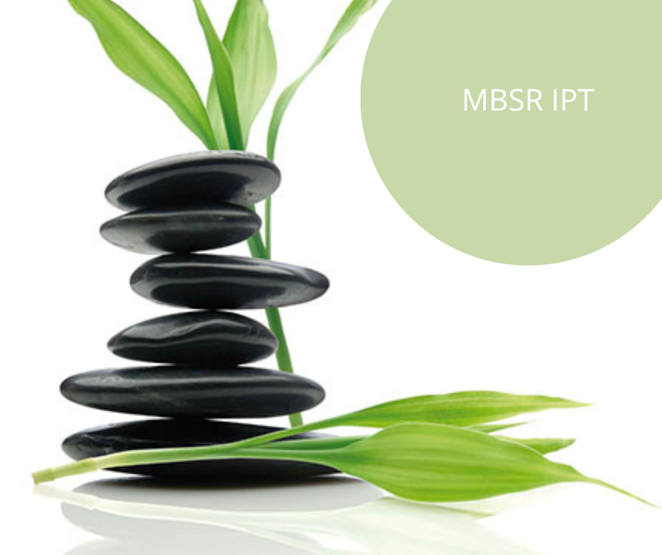 MBSR_IPT_MOTUS_MUNDI.png